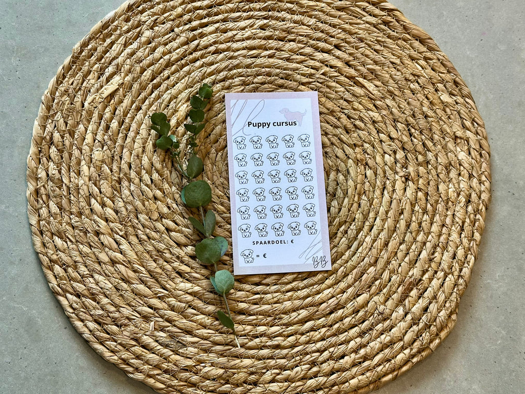 A6 Beige Challenges